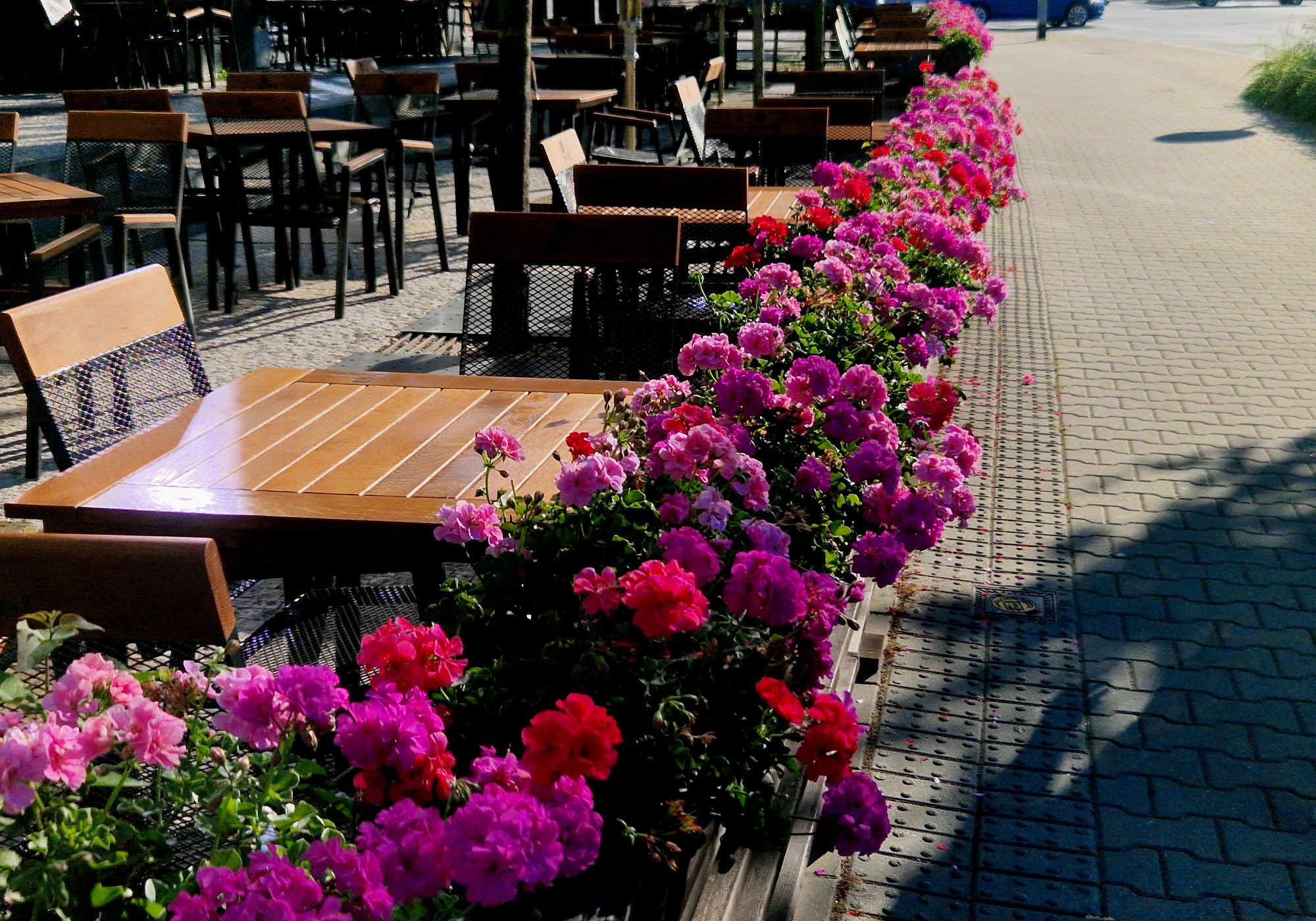 Garden-restaurant-in-the-park